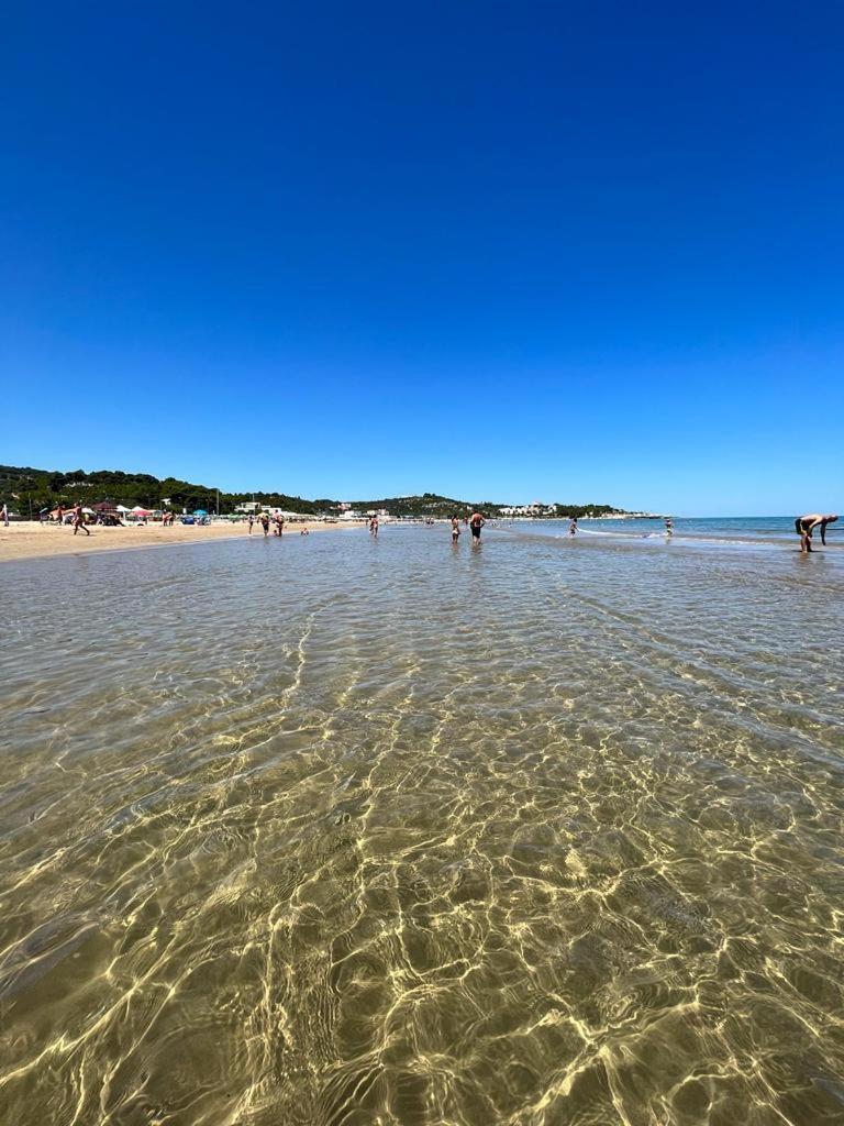 Appartamenti Le Porte Del Gargano فيستَ المظهر الخارجي الصورة
